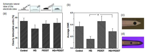 Hydrogel과 poly(3,4-ethylenedioxythiophene)에 따른 신경신호 감지 증가 확인