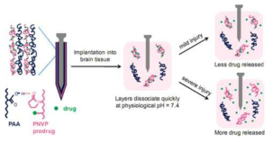 신경전극 표면의 약물복합형 고분자 코팅을 통한 조직과의 염증반응 억제
