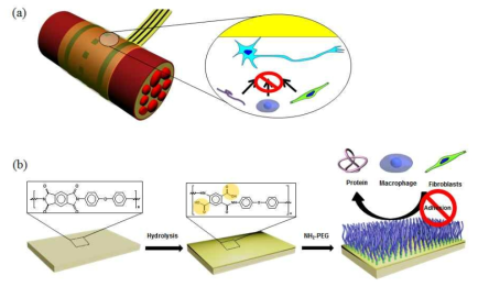 Schematic diagram of (a) optimal surface behaviour of an implanted cuff electrode, and (b) the procedure of PEG conjugated PI