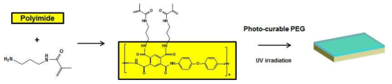 Photo-curable hydrogel coating on the polyimide surface