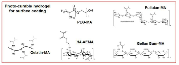 다양한 polysaccharide 계열의 광가교성 고분자