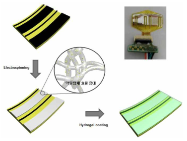 약물탑재형 나노섬유 및 하이드로젤 코팅을 통한 신경전극의 생체적합성 향상