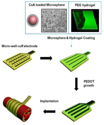 약물탑재형 마이크로입자 봉입형 하이드로젤 코팅을 통한 신경전극의 생체적합성 향상
