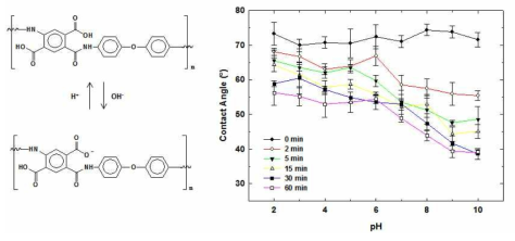 conversion of poly(amic acid) to poly(amate) anion in alkaline solution, and variation