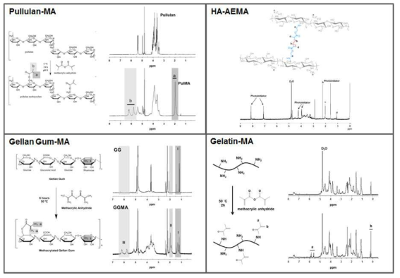 Synthesized photocurable polymer of pullulan, HA, Gellan Gum, and Gelatin confirmed by 1H NMR