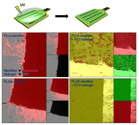 Hydrogel coating on the surface of nanofiber coated electrode