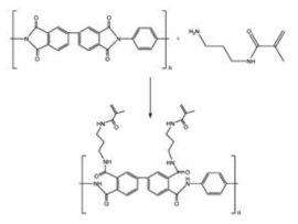 aminopropylmethacrylamide를 이용한 PI 표면의 cross-linkable group의 도입