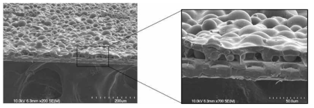 표면처리 된 신경전극에 약물탑재 마이크로 입자와 PEG hydrogel을 코팅한 후 단면도를 촬영.