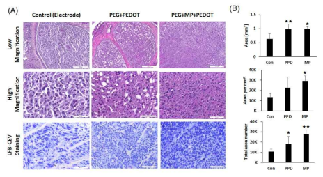 Rat의 sciatic nerve에 CsA가 탑재된 microparticle-coated, PEG/Pedot coated cuff electrode의 이식 후 5w에 신경 조직을 채취하여 신경변성에 따른 axon 분포 면적, 밀도, 총 숫자의 변화 확인.