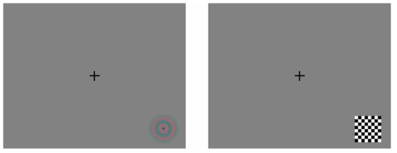 좌: 색체 시각 자극, 우: 체스판 패턴 시각 자극