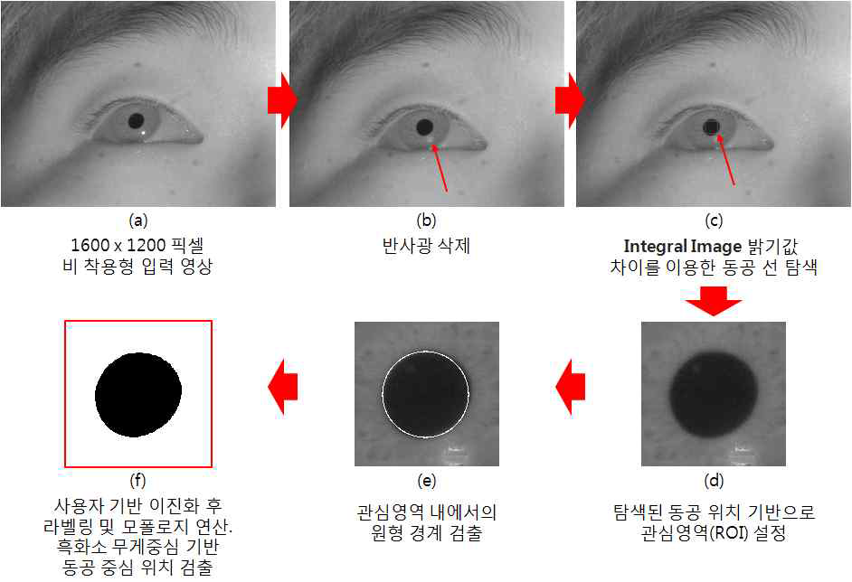 개선된 동공 검출 알고리즘의 동작 예