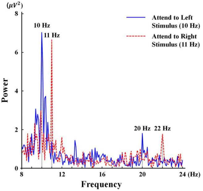 왼쪽 혹은 오른쪽 시각 자극에 집중했을 때의 파워 스펙트럼