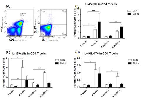 염증성 모델에서 CD4 T 세포의 사이토카인 분비 비교
