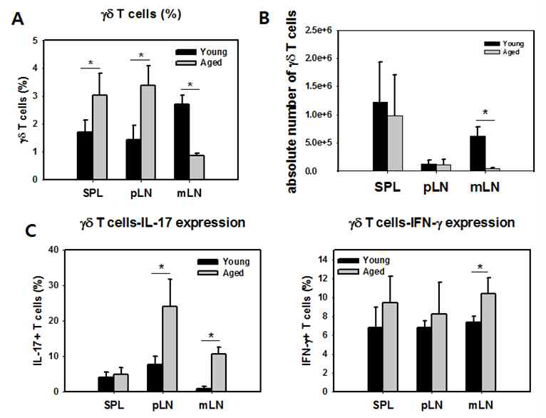 노화에 따른 γδ T 세포의 구 성 변화