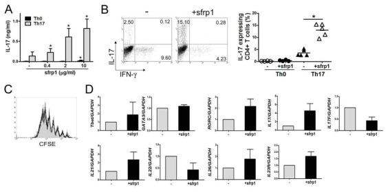in vitro에서 유도된 Th17 세포에서 RORC와 Th17 사이토카인의 발현에 미치는 sFRP1의 영향