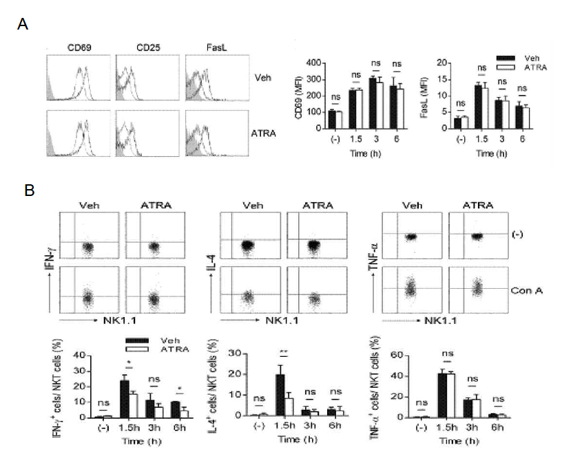 Con-A 유도 간 손상 모델에서 레티노산에 의한 NKT 세포의 활성화 정도와 사 이토카인 생성량, FasL의 발현 조절