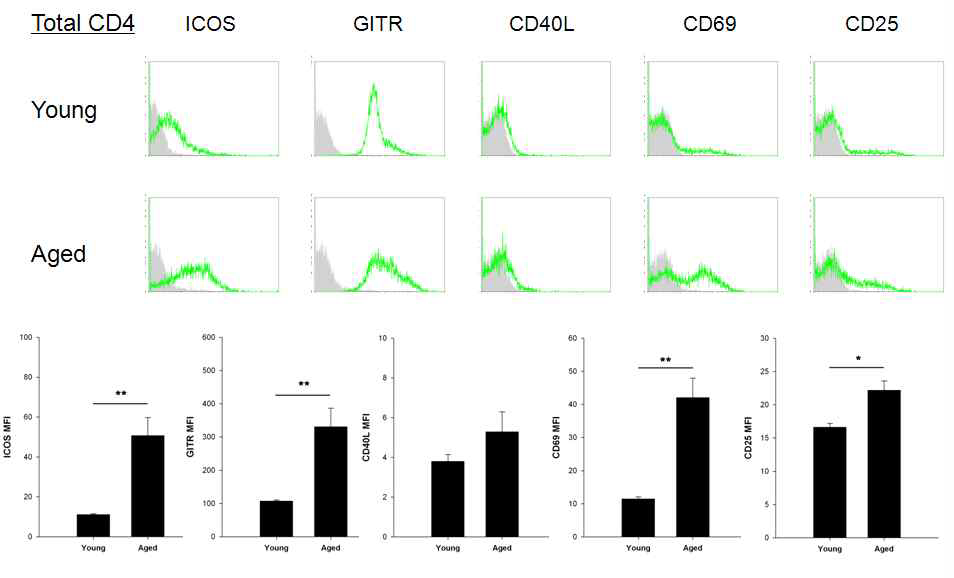 어린 생쥐와 노화 생쥐 CD4+ T 세포의 공자극 분자 발현 비교