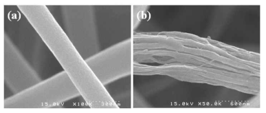 SEM images and as-electrospun PAN/PVdF(1:1 wt ratio) blend fiber and core PAN nanofibrils obtained after removal of shell component(PVdF component) by extraction with acetone