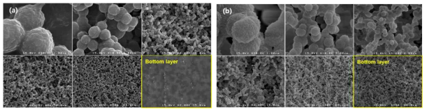 SEM images of SiO2 sol-gel solution/PVdF(1: 1 wt ratio) blend films prepared by solution casting. after (a) air-drying (b) after solvent extraction, followed air-drying