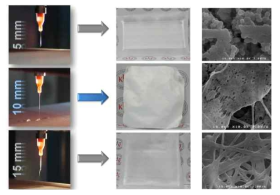 Effect of TCD on electrospinning of SiO2 sol-gel solution/PVdF(1: 1 wt ratio) blend solution