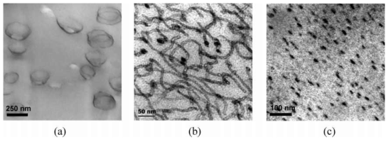 Epoxy와 블록 공중합체 혼합물의 transmission electron microscope (TEM) 이미지 (a) vesicles, (b) wormlike micelles, (c) spherical micelles