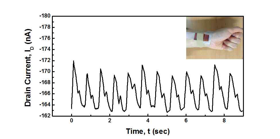 압력 센서 소자를 인간의 손목에 부착하여 맥박에 따른 드레인 전류를 실시간으로 관측한 결과