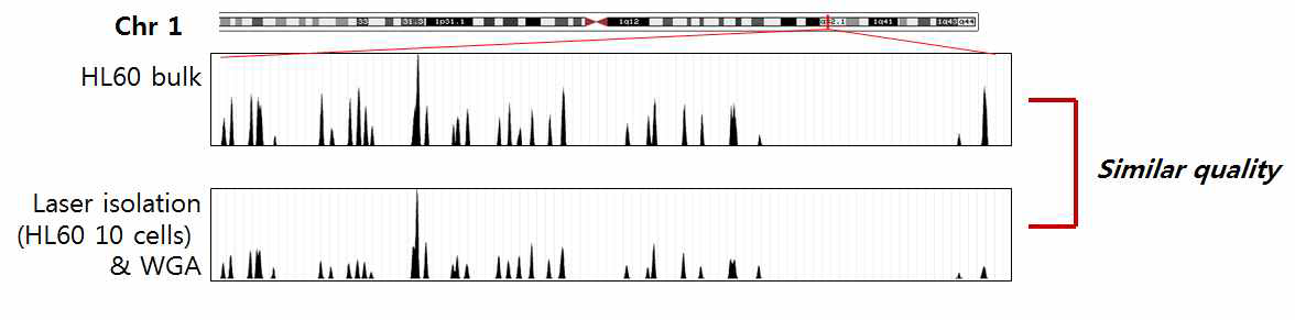 HL60 bulk (10^6개 이상의 세포)에서 분리한 DNA와 열 개의 세포를 분리하여 whole genome amplification (WGA) 한 것의 coverage 비교
