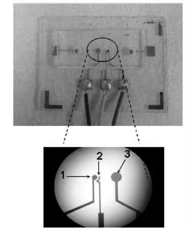 나노포러스 백금 전극을 이용한 마이크로 칩