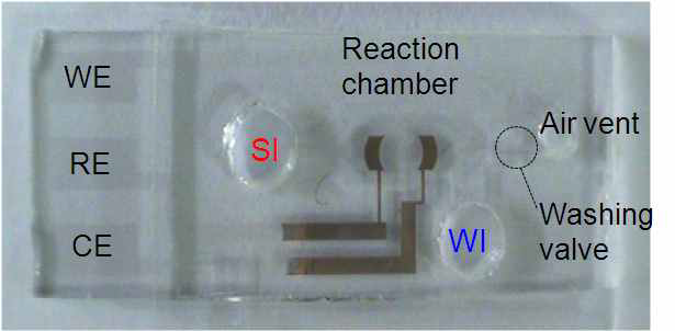 모세관 흐름과 산화환원 순환을 이용한 전기 화학 면역센서 칩의 사진