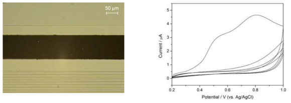 Solid-state 기준 전극 이미지(좌) 및 나노포러스 백금 막 위의 폴리머 코팅을 위한 순환전압전류도(우)