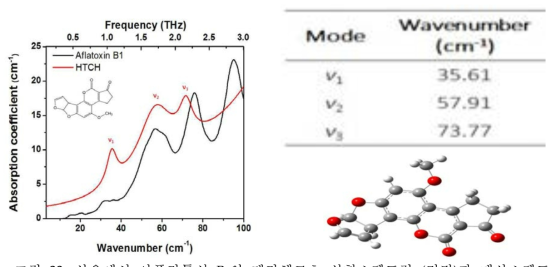 상온에서 아플라톡신 B1의 테라헤르츠 실험스펙트럼 (검정)과 계산스펙트럼 (빨강) 비교.