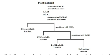 Flow chart for the extraction and fraction of plant material