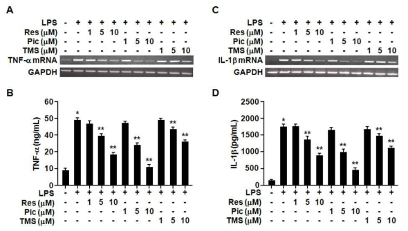 Effects of Res, Pic and TMS on TNF-α mRNA and IL-1β mRNA expression and TNF-α and IL-1β production.