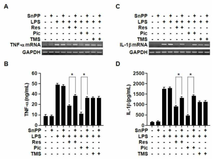 Effects of SnPP on the inhibitory actions of Res, Pic and TMS in TNF-α mRNA and IL-1β mRNA expression and TNF-α and IL-1β production.