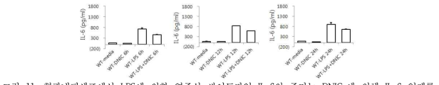 혈관내피세포에서 LPS에 의한 염증성 싸이토카인 IL-6의 증가는 DNICs에 의해 IL-6 억제를 ELISA를 통해 확인.