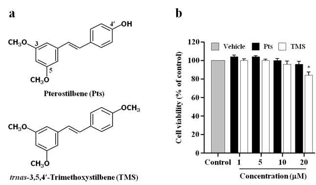 Effects of Pts and TMS on cell viability