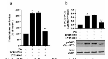 Effects of Pts on ERα and Akt activation