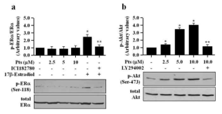 Effects of LY294002 on Pts-mediated NO production and eNOS activation