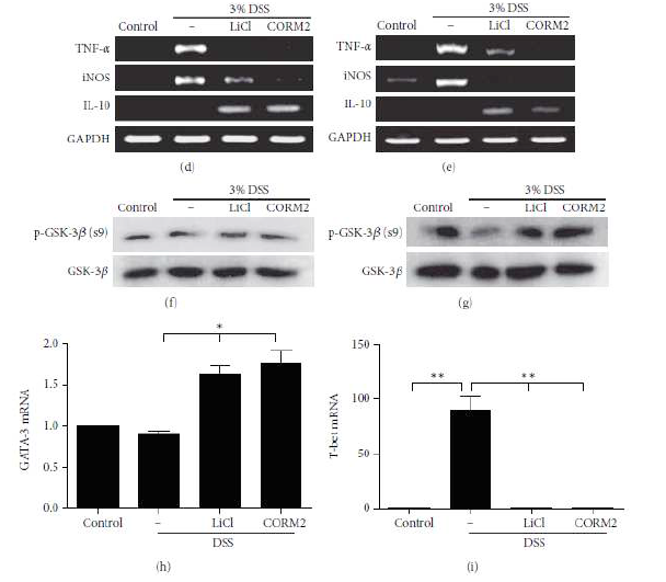 CO attenuates experimental colitis as measured by histology in colon and inflammatory cytokines in MLNs, and BMMs