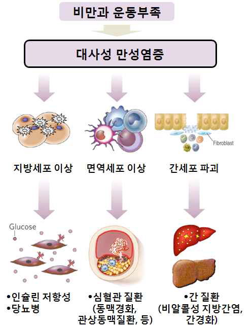 대사성 만성질환과 관련된 대사질환