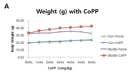 CoPP의 공급에 따른 렙틴 수용체 결핍(db/db) 쥐의 몸무게와 혈당량 변화와 CoPP 투여에 따른 HO-1의 발현 관찰