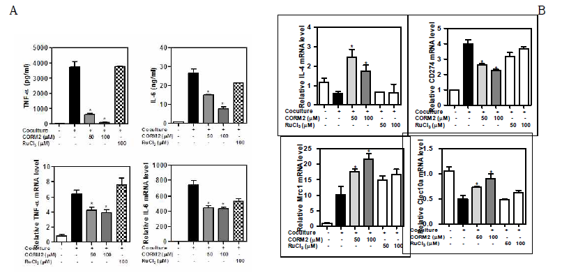 CO producer (CORM2) reduces transcript of inflammatory cytokines and enhances M-2 macrophages in cocultured adipocyte/macrophages