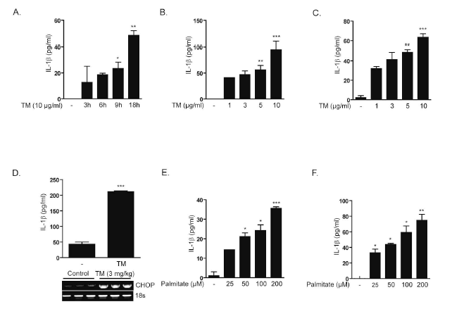 ER stress induces the production of IL-1b in vitro and in vivo