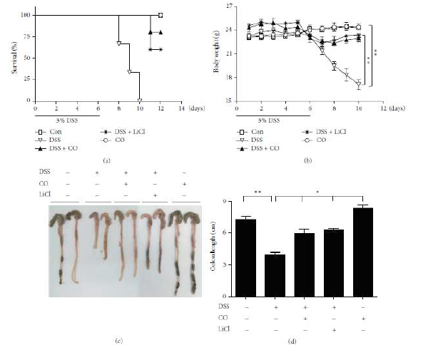 CO attenuates DSS-induced experimental colitis as measured by survival, body weight, and colon length