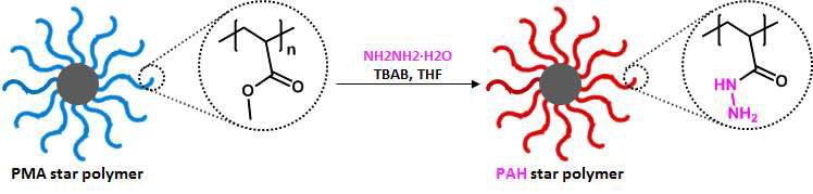 PAH 성형 공중합체 합성 (hydrazine group 치환)