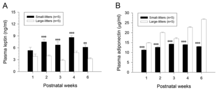 비만 개체군(Small-litters)와 정상 개체군(Large-litters)의 혈중 adipokine량.