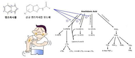 신규 벤즈옥사졸 아미드 유도체의 구조 및 작용기전