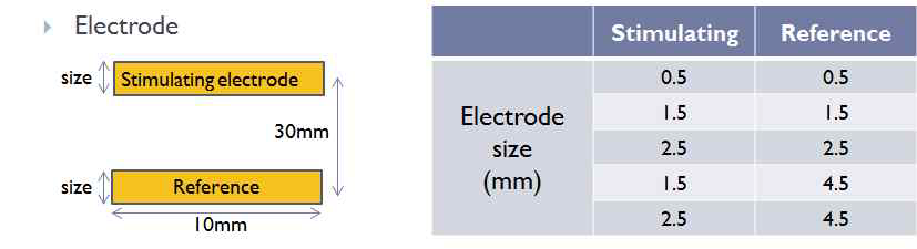 실험에 이용된 전극의 크기