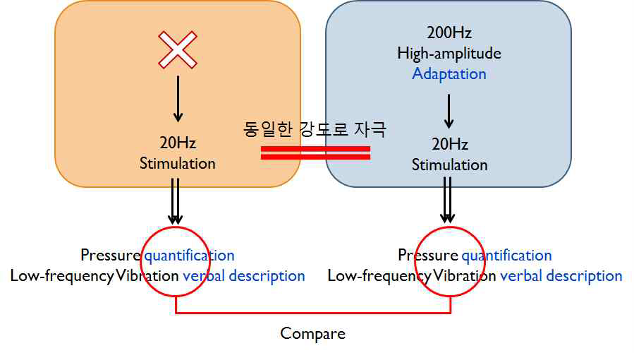 순응을 이용한 감각의 선택적 감각유발 방법