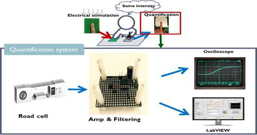 압력감각의 정량화 시스템 개요